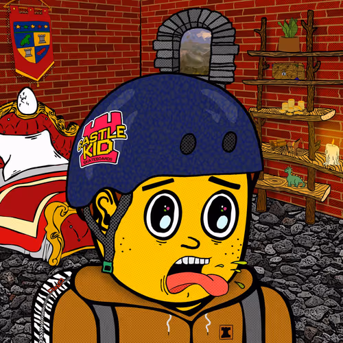 Castle Kid #4597