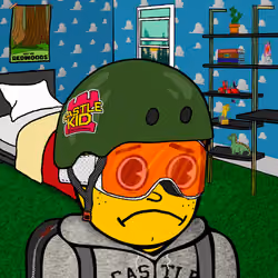 Castle Kid #4696
