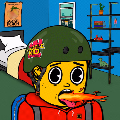 Castle Kid #3241