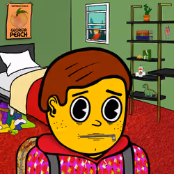 Castle Kid #529
