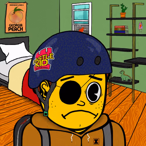 Castle Kid #548