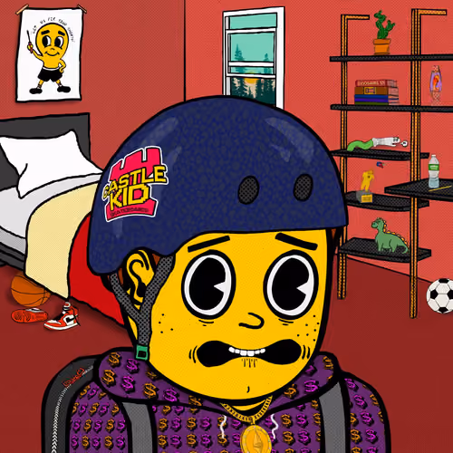 Castle Kid #6047