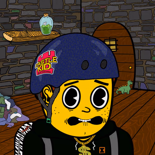 Castle Kid #4183