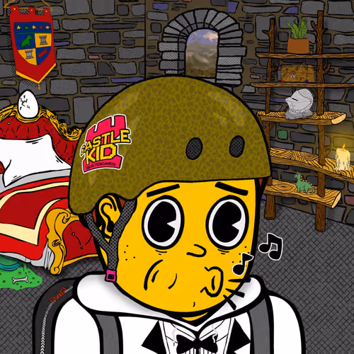 Castle Kid #1739