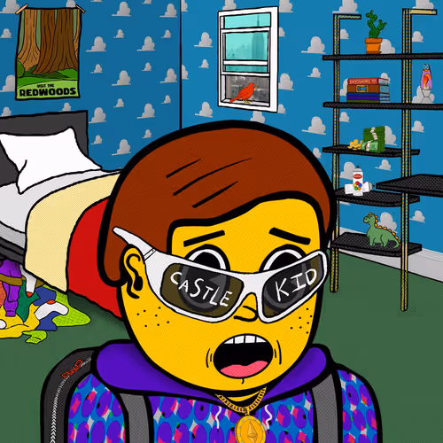 Castle Kid #6524