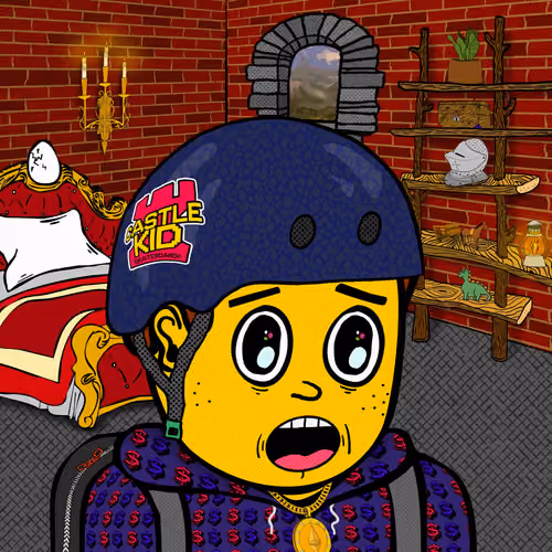 Castle Kid #1834