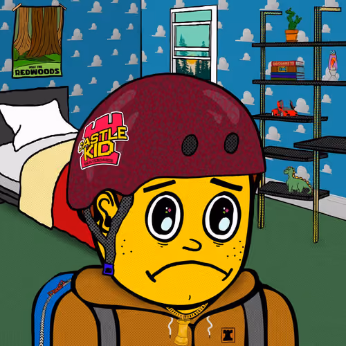 Castle Kid #4878