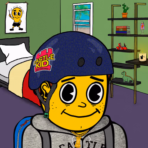 Castle Kid #9954