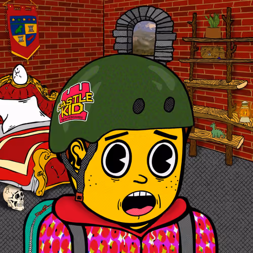 Castle Kid #5259