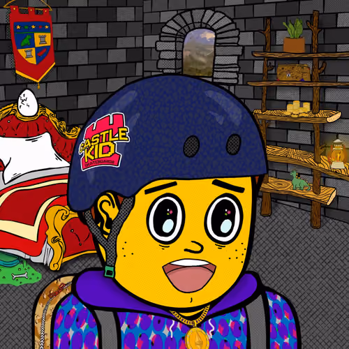 Castle Kid #8563