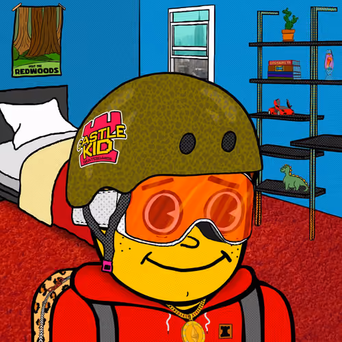 Castle Kid #7441