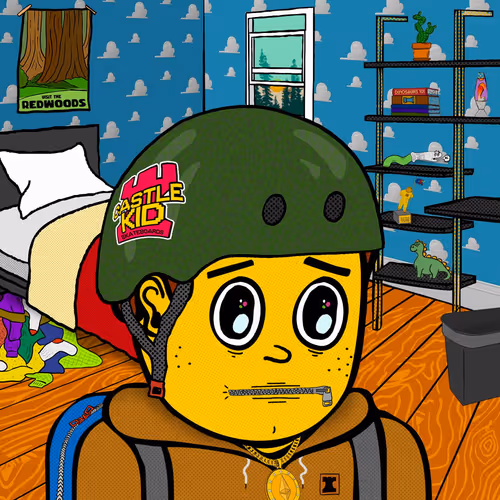 Castle Kid #5047