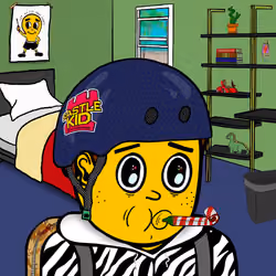 Castle Kid #1535