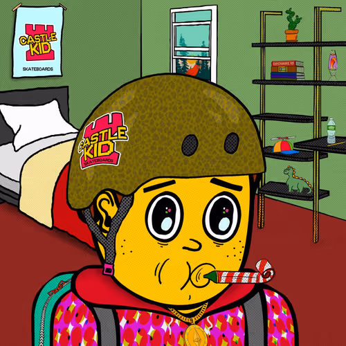 Castle Kid #3434