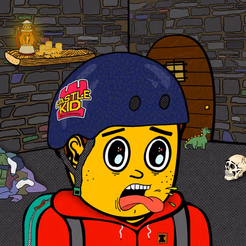 Castle Kid #8248