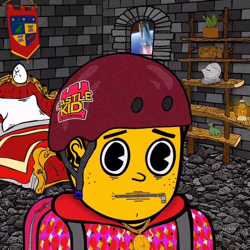 Castle Kid #8808