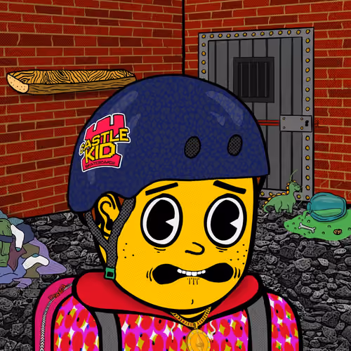 Castle Kid #4805