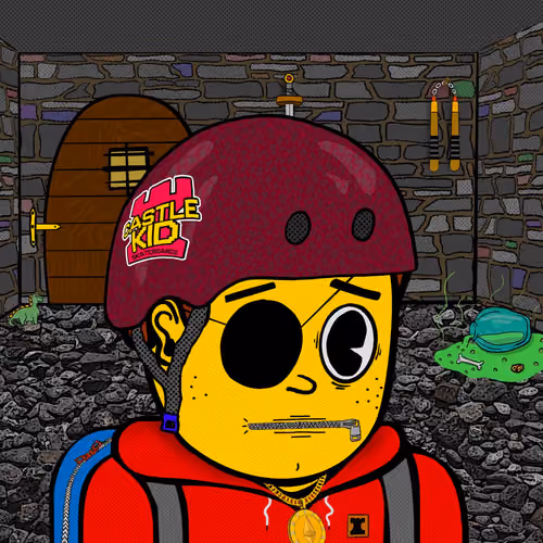 Castle Kid #6676