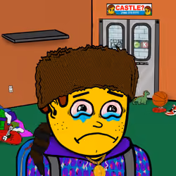 Castle Kid #3373