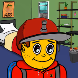 Castle Kid #7072