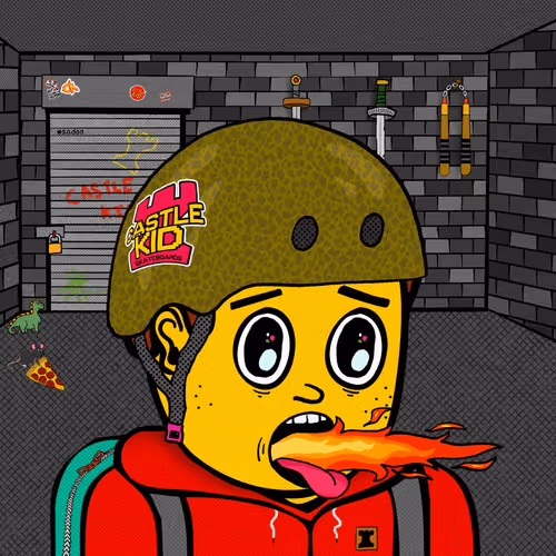 Castle Kid #4905