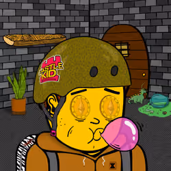 Castle Kid #8801