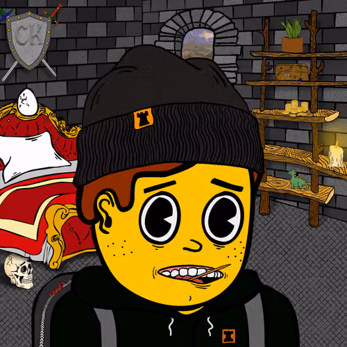 Castle Kid #9161