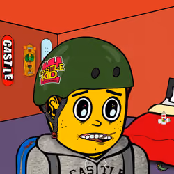 Castle Kid #8884