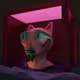Cat P