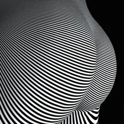 项目媒体占位符