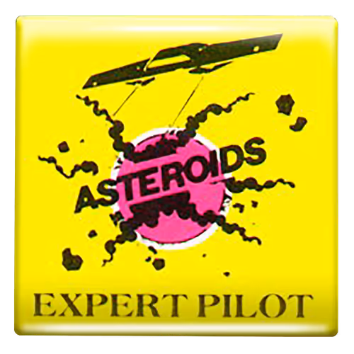 Expert Pilot