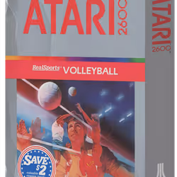 Real Sports Volleyball