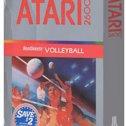 Real Sports Volleyball