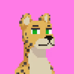 Jaguar Gang #2536