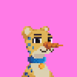 14222082401136810001527