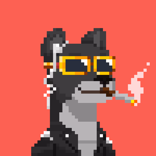 Jaguar Gang #5632