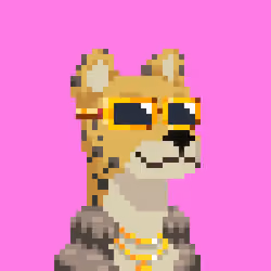 Jaguar Gang #2569