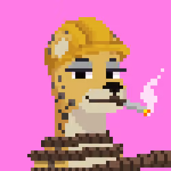 Jaguar Gang #3717