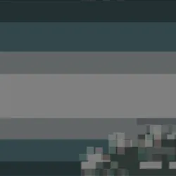 250