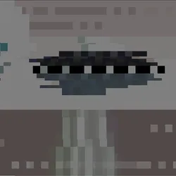2449