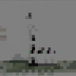 9038