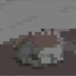 6248