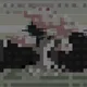 2504