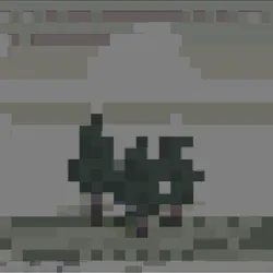 9262