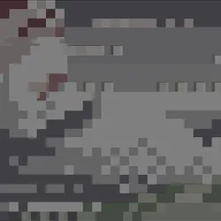 PunkScape Relic