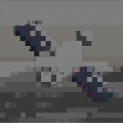807