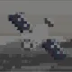 807