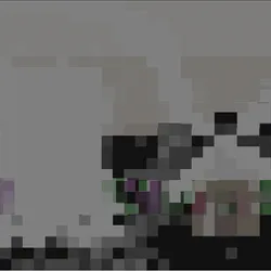 113