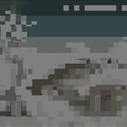 2997