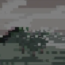 1157